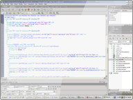 Coding is also a part of professional web design